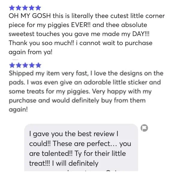 Guinea Pig Small Animal Cage Liner Fleece New Midwest 24” x47” Sky Stars Blue - Picture 2 of 4